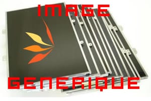 Dalle LCD 15.4 pouces WSXGA+ Mate pour Acer TravelMate TMP8210